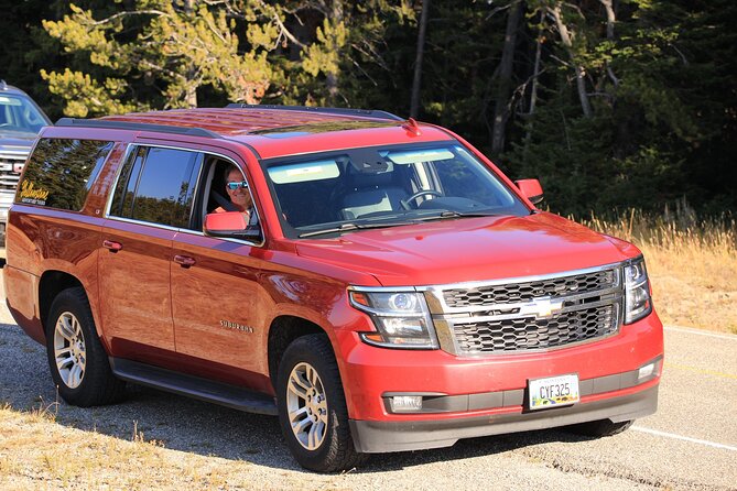 Private Yellowstone Tour: ICONIC Sites, Wildlife, Family Friendly Hikes + Lunch - Convenient Tour Pickup Locations