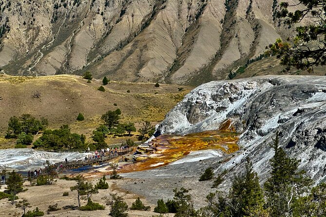 Private Yellowstone Wildlife and Photo Tours West Yellowstone - Accessibility and Participation Guidelines