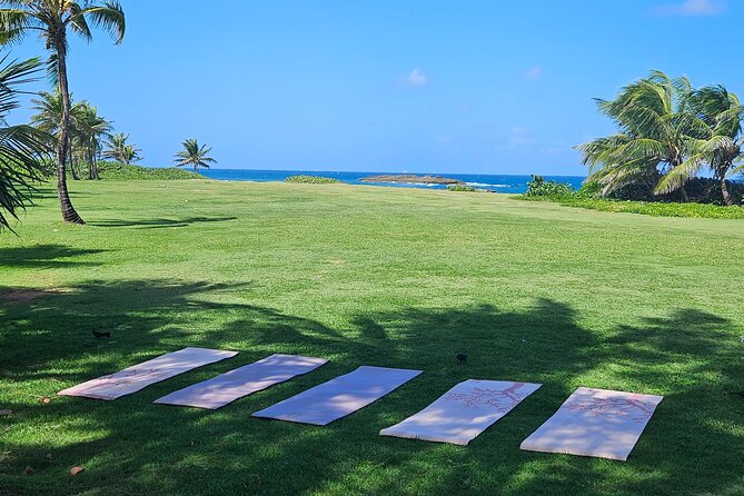Private Yoga Class at the Beach With Transportation From San Juan - About Your Stay