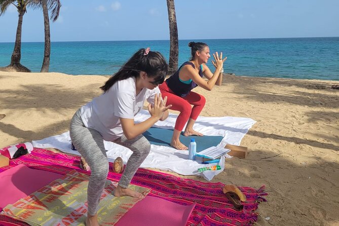 Private Yoga Class at the Beach With Transportation From San Juan - Review Highlights