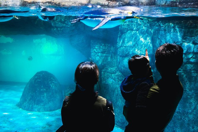 Private Yokohama Family Tours With Local Guides 100% Personalized - Accessibility and Participation