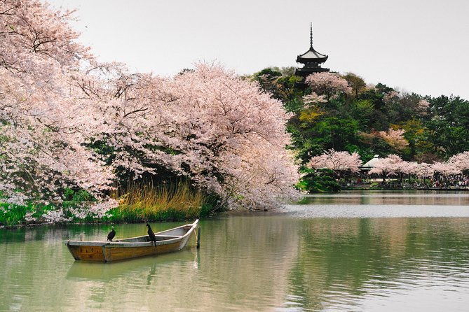 Private Yokohama Family Tours With Local Guides 100% Personalized - Transportation and Logistics