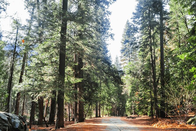Private Yosemite National Park Day Trip From San Francisco - Traveler Reviews and Recommendations