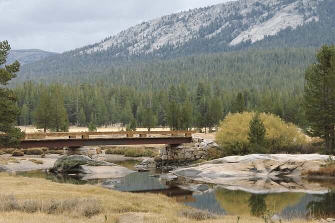Private Yosemite National Park Day Trip From San Francisco - Preparing for the Tour
