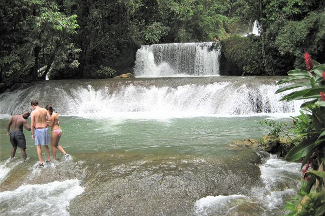 Private YS Falls and Black River Safari From Falmouth - Black River Safari