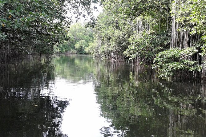 Private YS Falls and Black River Safari From Falmouth - Booking Information