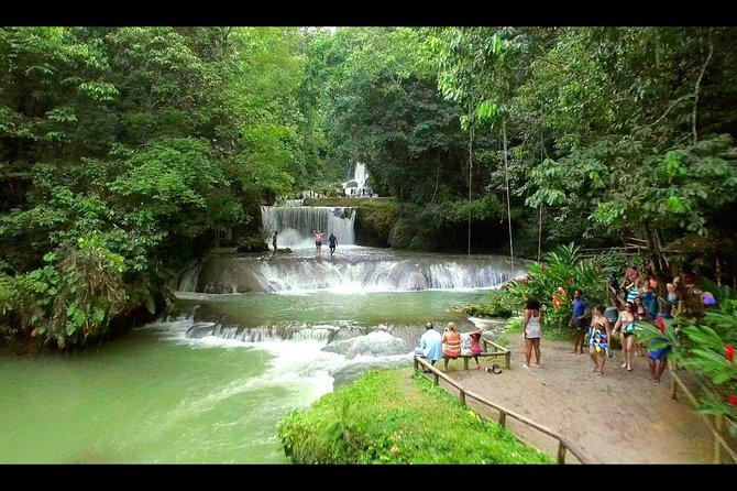 Private YS Falls and Black River Safari From Falmouth - Additional Costs and Tips