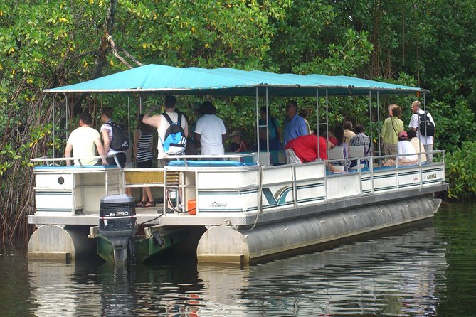 Private YS Falls and Black River Safari From Negril - Activities at YS Falls