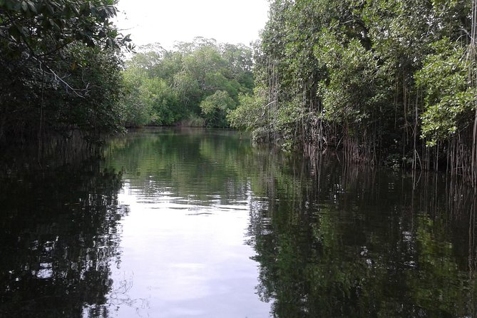Private YS Falls and Black River Safari From Runaway Bay - Questions About Your Stay
