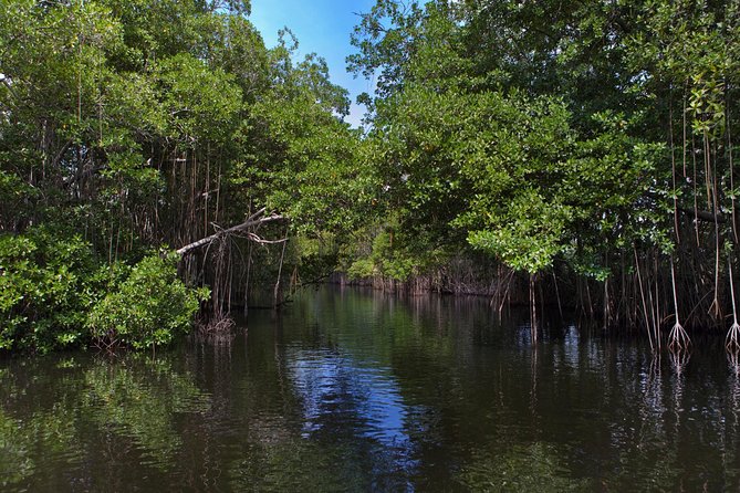 [PRIVATE] YS Falls, Black River, Pelican Bar - Entrance & Lunch - YS Falls
