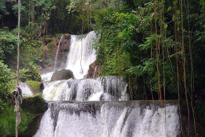 [PRIVATE] YS Falls, Black River, Pelican Bar - Entrance & Lunch - Pelican Bar