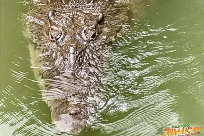 [PRIVATE] YS Falls, Black River, Pelican Bar - Entrance & Lunch - Inclusions