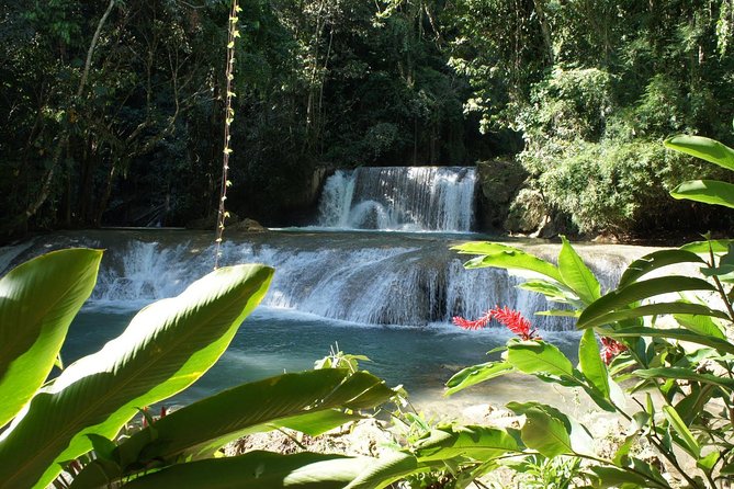 [Private] YS Falls From Negril - Entrance Fees + Lunch Included - Inclusions and Amenities