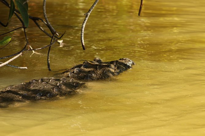 Private Yucatan Discovery Tour - Participant Information