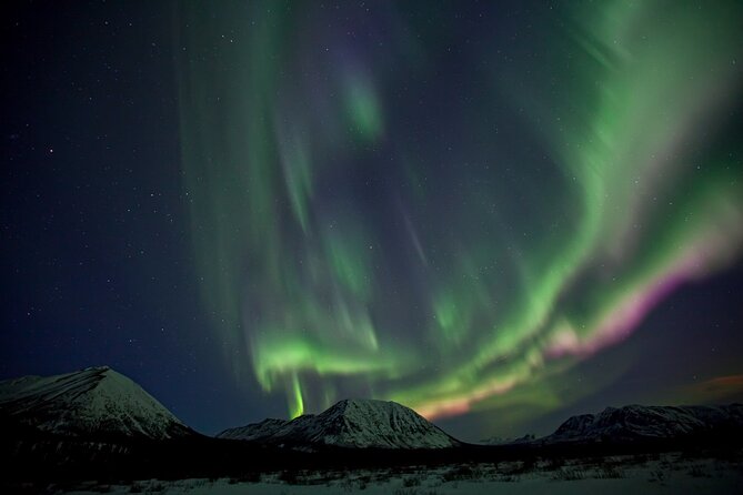 Private Yukon Aurora Viewing - Meeting and Pickup