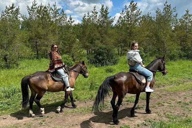 Private Yurt Tour with Horses: Immerse into Kazakh Culture - Who Will Love This Tour?