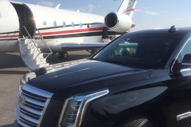 Private YYZ Arrival Transfer-Pearson Airport to Toronto/Misisauga - Pickup and Drop-off
