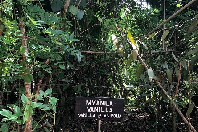 Private Zanzibar Spice Farm Tour - Booking Information