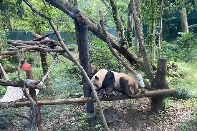 Private Zhujiajiao Water Town Tour With Shanghai Zoo and Panda - Inclusions and Options