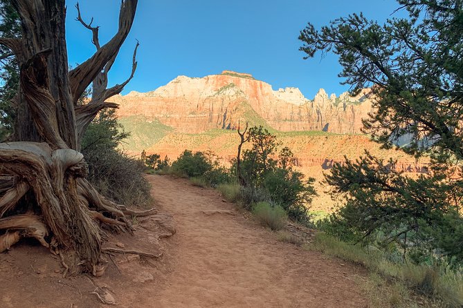 Private Zion Canyon National Park Day Tour From Las Vegas - Frequently Asked Questions