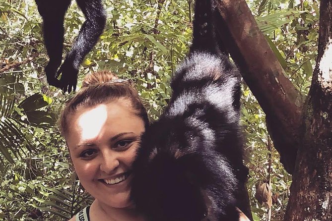 PRIVATE Zipline & Baboon Sanctuary Experience - Rope Bridge Crossing