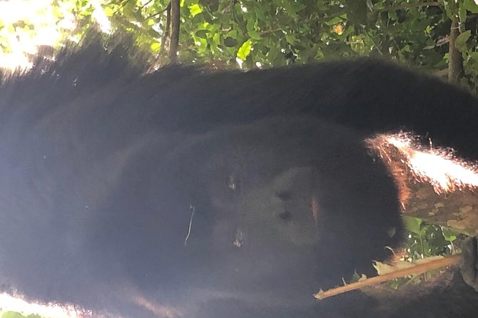 PRIVATE Zipline & Baboon Sanctuary Experience - Booking Details