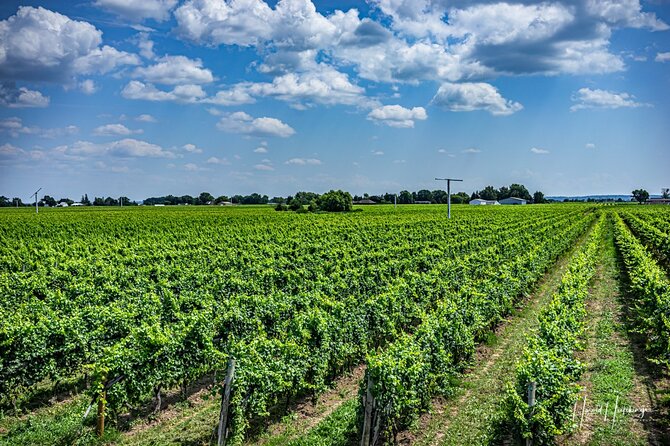 Private,Custom Niagara Escarpment-Scenic Boutique Winery Tasting Tour - Confirmation and Accessibility