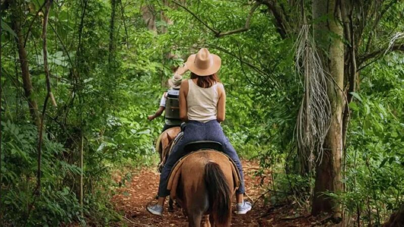 Private:Los Haitises: Kayak and Horseback Riding Tour - The Sum Up