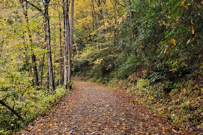 Privately Guided Full Day Hike - Blue Ridge Mountains Scenery
