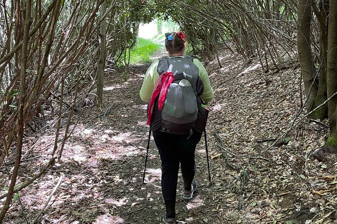 Privately Guided Full Day Hike - Trekking Poles Availability