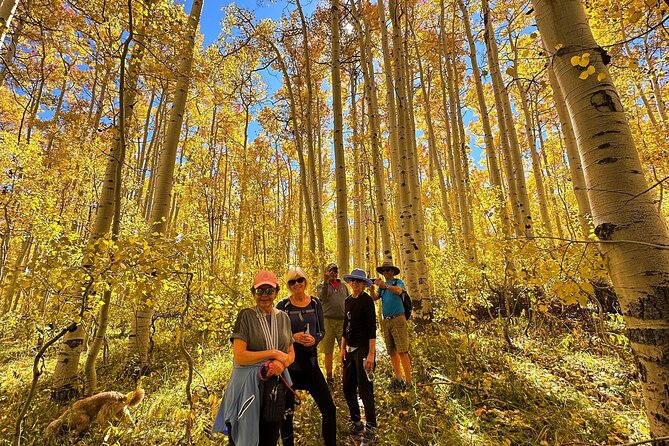 Privately Guided Scenic Mountain Hike - Meeting Point and Logistics