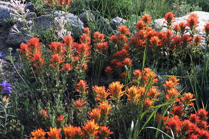 Privately Guided Scenic Mountain Hike - Frequently Asked Questions