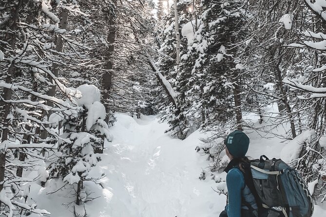 Privately Guided Snowshoe Experience - Accessible and Inclusive Experience