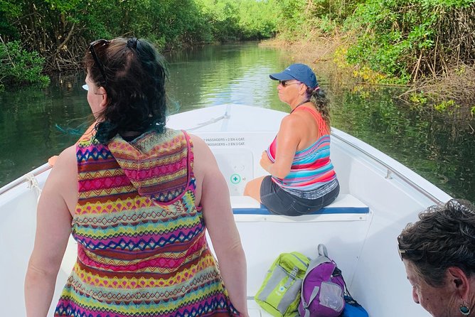 Privatize the Boat for Half a Day With Family/Friends. - Snorkeling Gear Included