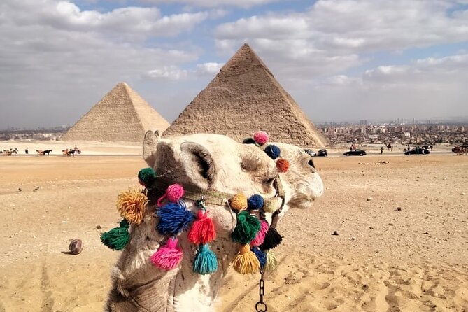 Privet Tour Giza Pyramids ,Sphinx and Saqqara - Meeting and Pickup Details