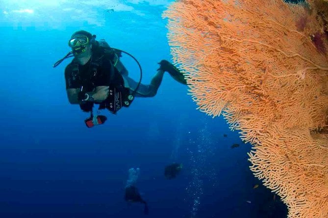 Professional 2 Stops Scuba Diving Full Day Boat Trip - Hurghada - Traveler Requirements