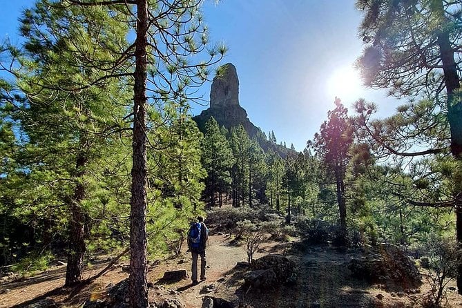 Professional Climbing Guide - Accessibility and Participation