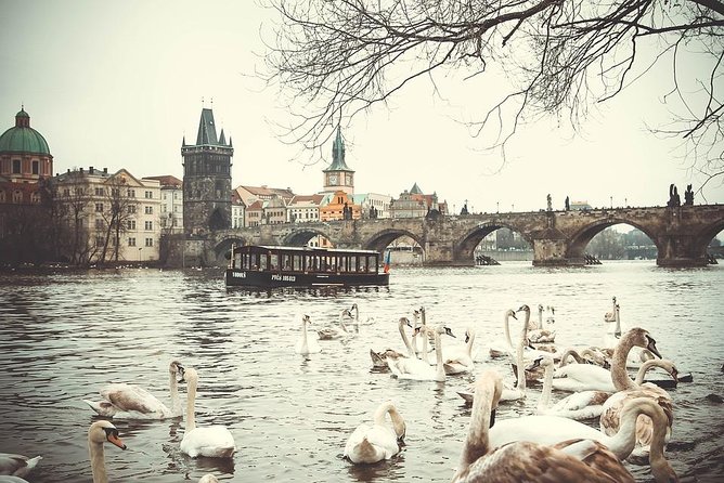 Professional Guides Walking Tours-Prague Day&Night (1-2pers) - Tour Languages and Schedules