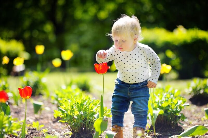 Professional Outdoor Baby Photoshoot in Amsterdam - Experience Highlights