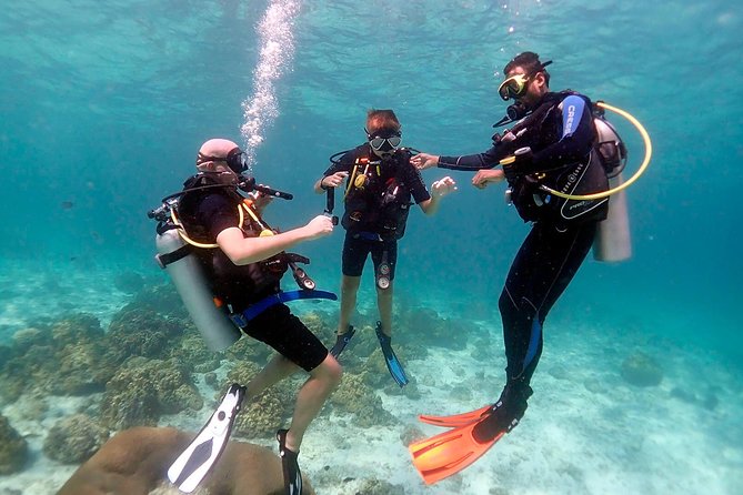 Professional Scuba Diving Full Day Trip With Transfer – Hurghada - Key Points