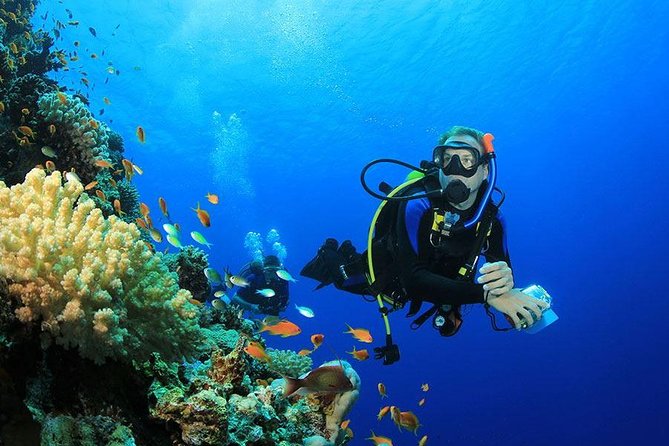 Professional Scuba Diving Full Day Trip With Transfer – Hurghada - Additional Costs