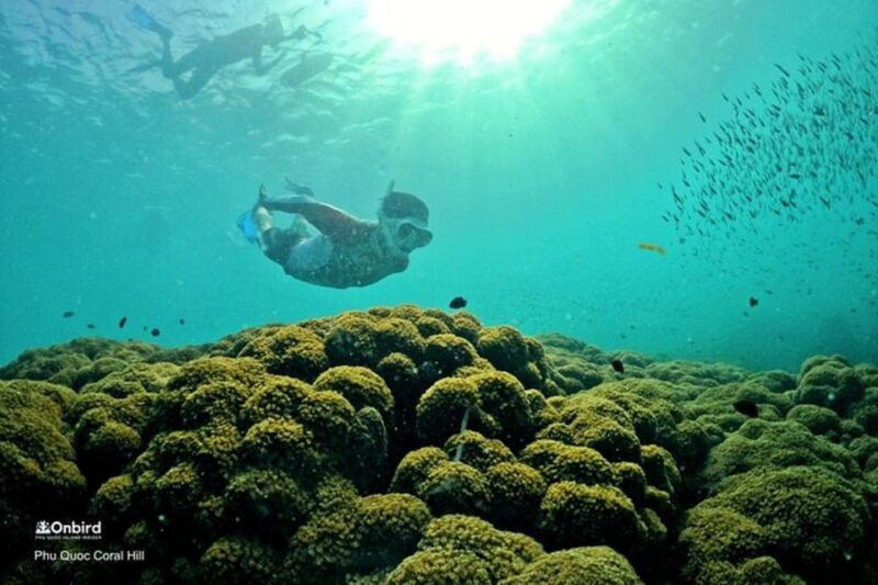 PROFESSIONAL SNORKELING to Explore Coral Spots in Phu Quoc - Safety and Restrictions