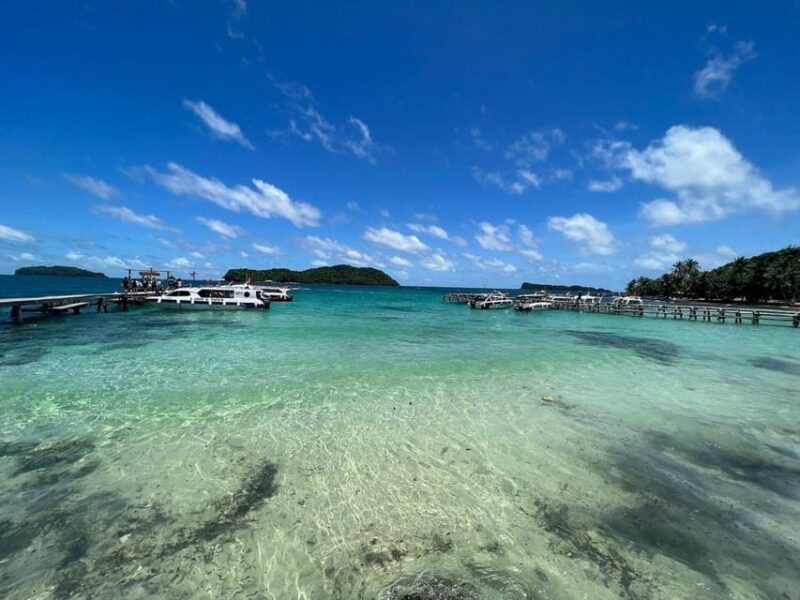 PROFESSIONAL SNORKELING to Explore Coral Spots in Phu Quoc - Experience Highlights