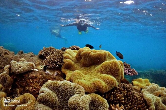 PROFESSIONAL SNORKELING to Explore Coral Spots in Phu Quoc - Cancellation and Payment Policy