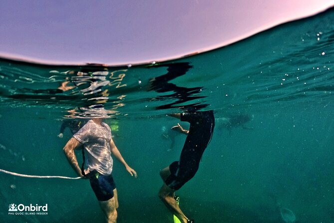 PROFESSIONAL SNORKELING to Explore Hidden Coral Spots (MAX 9 PAX) - Pricing and Surcharge Information