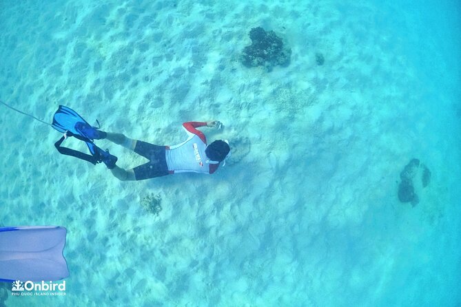 PROFESSIONAL SNORKELING to Explore Hidden Coral Spots (MAX 9 PAX) - Booking and Cancellation Policy