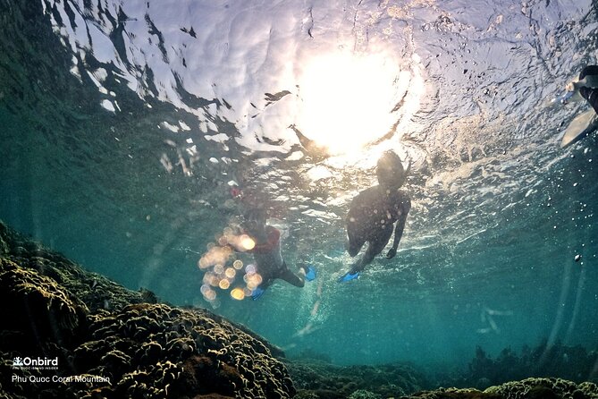 PROFESSIONAL SNORKELING to Explore Hidden Coral Spots (MAX 9 PAX) - Customer Feedback and Experiences