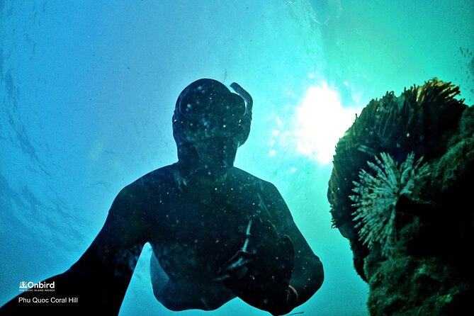 PROFESSIONAL SNORKELING to Explore Hidden Coral Spots (MAX 9 PAX) - Pricing and Availability