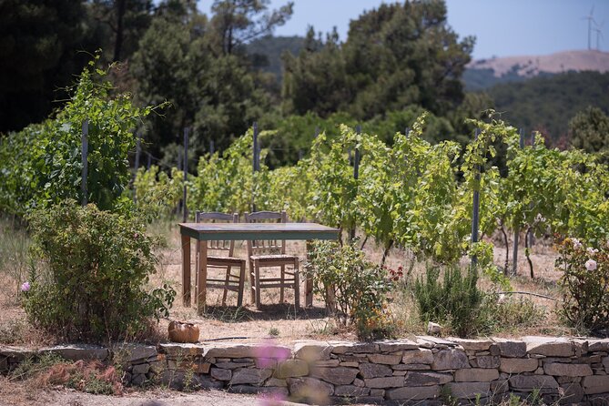 Professional Tour With Winemaker in Ikaria - Schedule and Availability