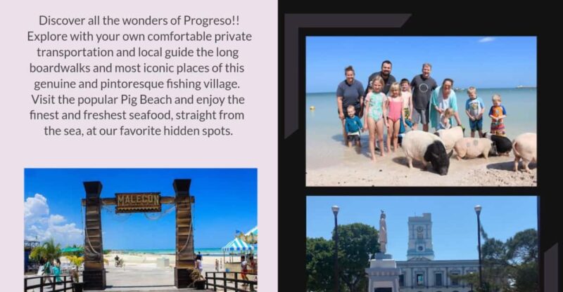 Progreso: Explore Progreso Tour - Itinerary and Highlights